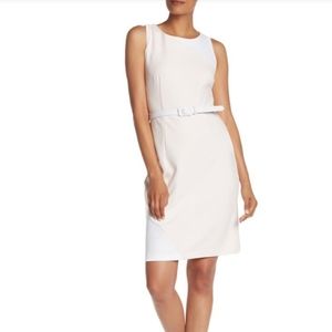 Sharagano color block Sleeveless dress